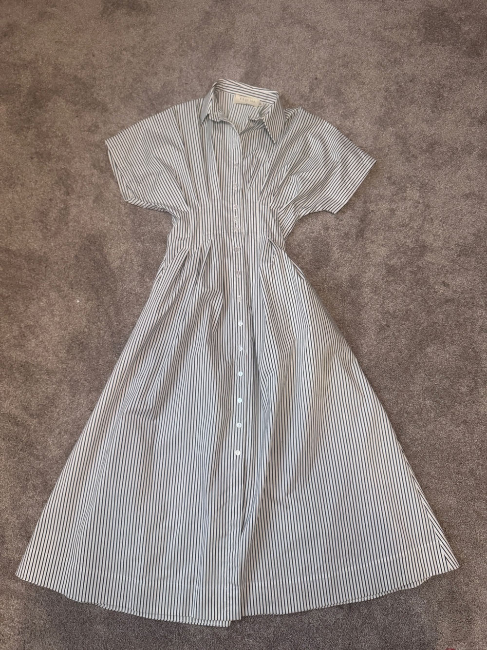 Classic Blue & White Striped Button-Front Shirt Dress